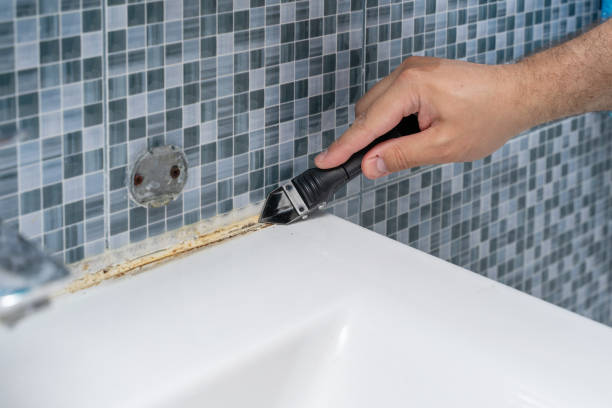 Best Commercial Mold Removal  in South Valley, NM