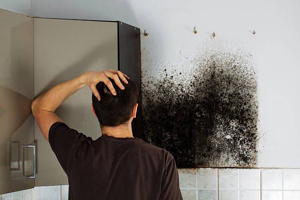Water Damage Restoration in South Valley, NM